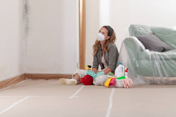 Reliable Mold Removal contractor in Fairview, NC by Mold Remediation HQ